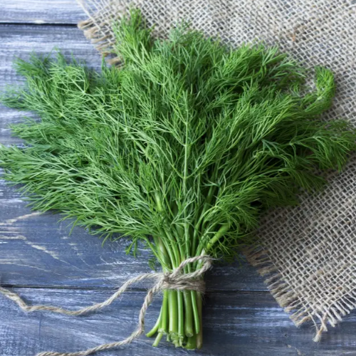 Кріп Форест 1гр Професійне насіння Житомир