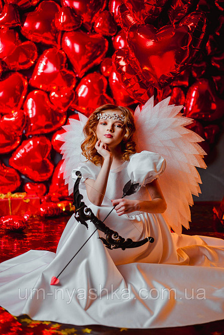 Крылья Ангела большие сердцем Кривой Рог - изображение 9