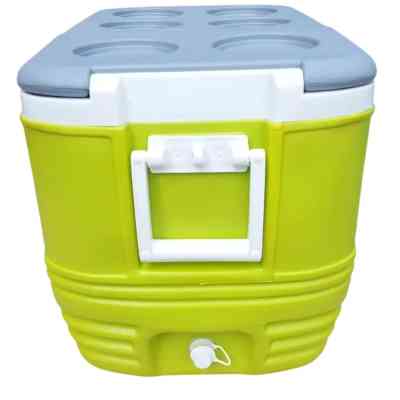 Термобокс Pinnacle Eskimo 57 л салатовий (0682622060053_1) Вінниця