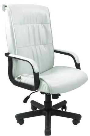 Офісне Крісло Керівника Richman Rio Lucky White Пластік Річ М3 MultiBlock Білий Київ