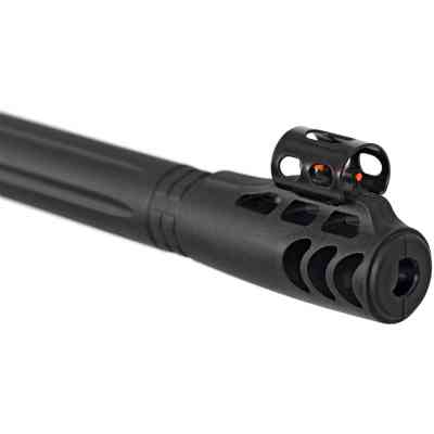 Пневматична гвинтівка Beeman Polar Bear GR, OП 4х32 (10620GP) Вінниця