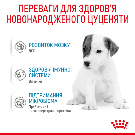 Royal Canin Babydog Milk (Рояв Канін Бебідог Мілк) замінник молока для цуценят від народження до від'єму 2 кг. Запоріжжя