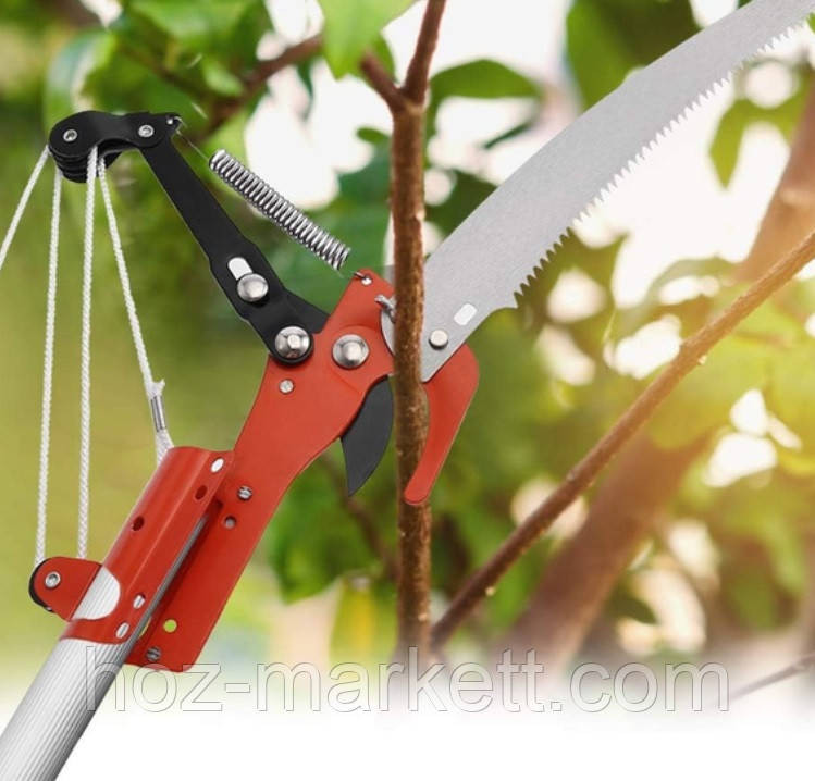Сучкоріз штанговий висоторіз комбінований з пилкою та мотузкою Харків - фото 5