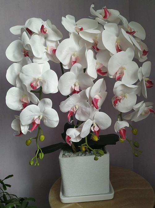 Штучна латексна орхідея VIP в білому керамічному кашпо на три гілки біла Дніпро - фото 7