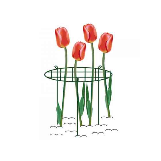 Опора для растений кольцевая 75см, Ø50см, TYRP15075S Киев