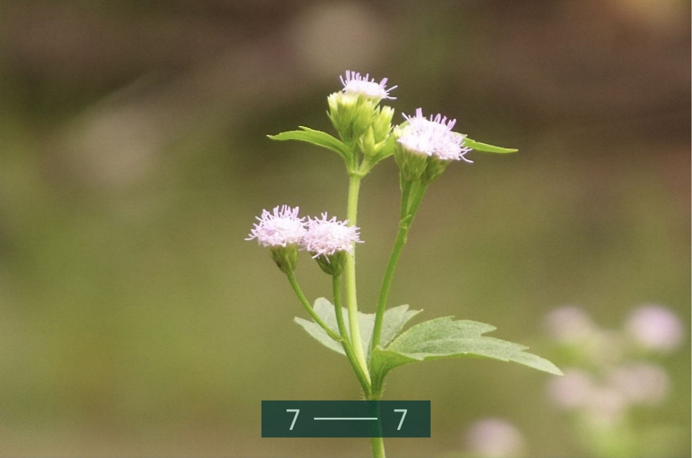 Фотоаппарат: Fujifilm FinePix S1500. Харьков - изображение 2