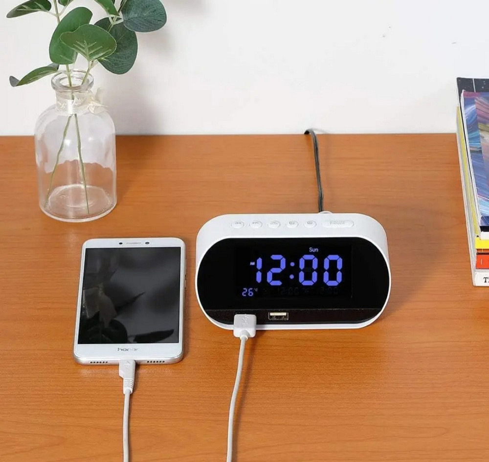 Годинник T2 з радіо та USB заряджанням телефона Луцк - изображение 1