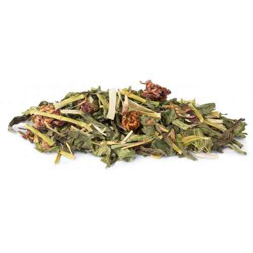 Корм Vitakraft Vita Verde Nature Mix для декоративних гризунів з подорожником та конюшиною 70 г Київ