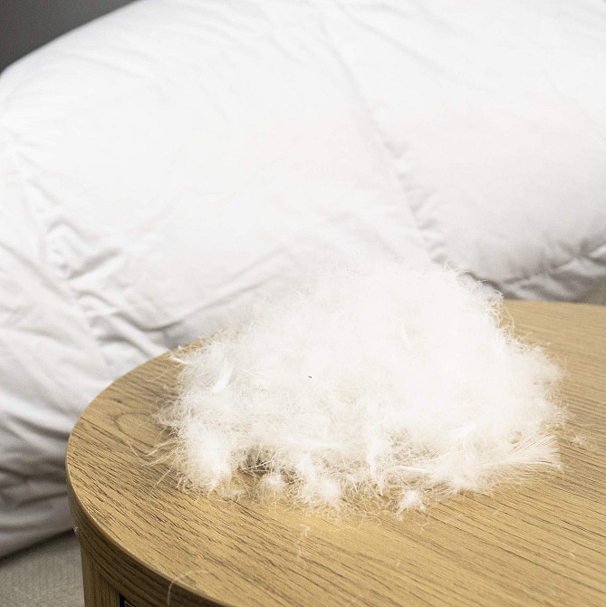 Эксклюзивное пуховое Евро одеяло премиум качества YouStar 100% гусиный пух, Батист, размер 200х220 см (Белый) Сумы - изображение 10