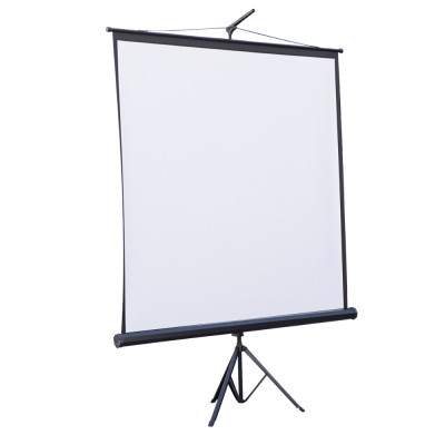 Проекционный экран Atria TRM-NTSC-120D Винница - изображение 1