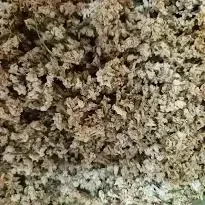 Цвет сирени (Цвіт бузку) 100г master sem Киев - изображение 1