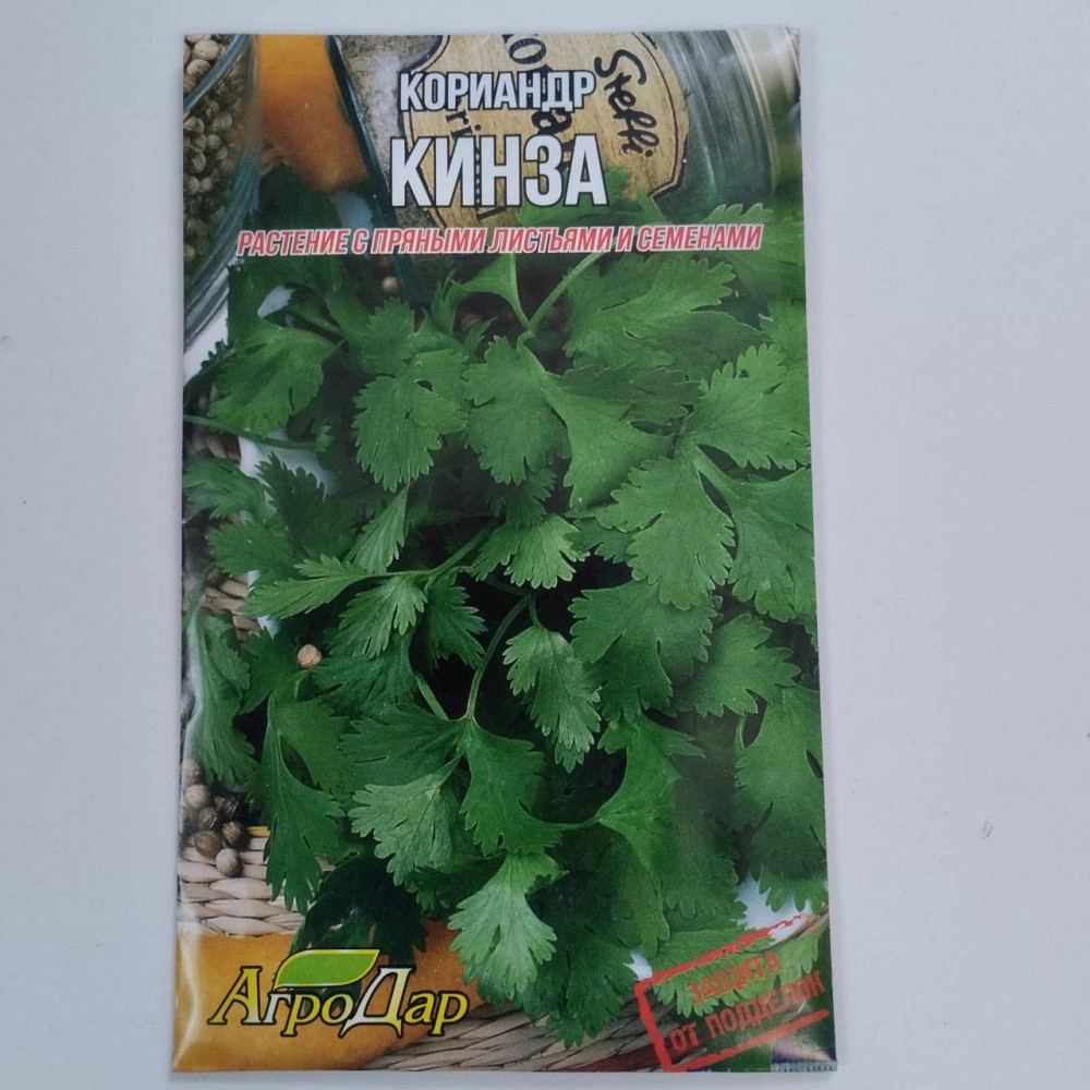 Коріандр "Кінза" 20гр Харків - фото 1