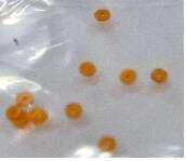 Манжет голки карбюратора (жовтий) МТ, УРАЛ, ІЖ (набір 10 шт.) VDKI Киев - изображение 1