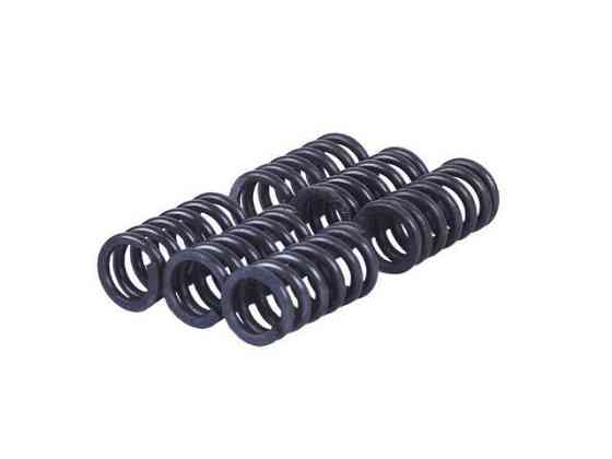 Пружины диска нажимного, к-т: 6 шт. - MFC Мукачево