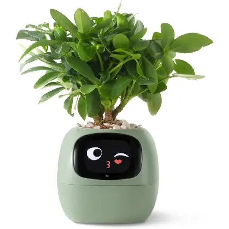 Інтерактивний розумний горщик для рослин Ivy Smart Planter Tuya AI, Green Київ - фото 4