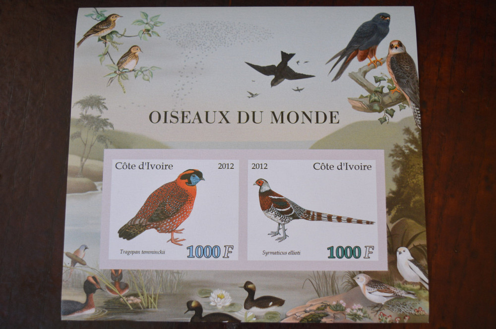 Кот-д'Івуар. Фауна. Личности. Блок. (А-35) Полтава - фото 1