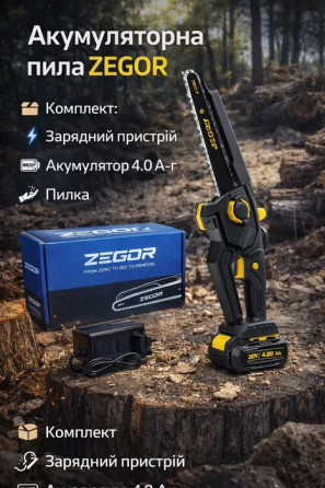 Пила ланцюгова акумуляторна ZEGOR CSPB-21BL-10 : шина 25 см (акум 21V 4.0Ah і зарядка) Киев