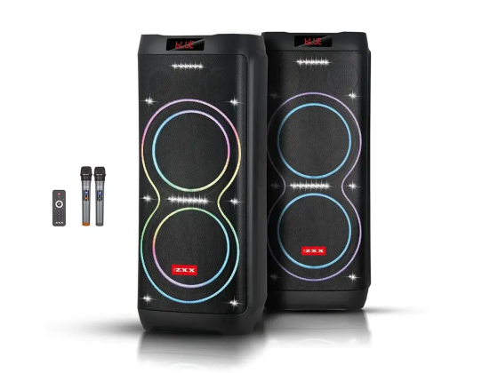 Портативна акустична колонка ZXX-5560 100Вт, 2×10" динаміка, TWS/FM/USB/TF/BT/LED, 2 мікрофони, пуль Київ
