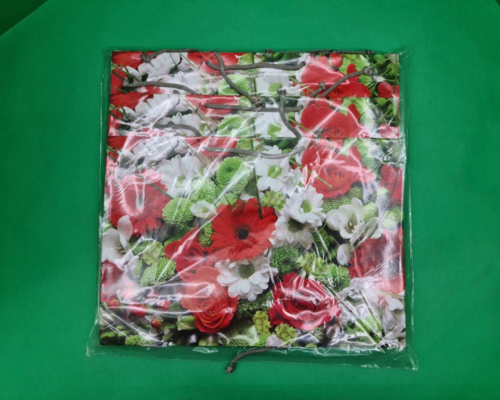 Бумажный большой горизонтальный пакет  36/22/10(артBG-004) (12 шт) Харьков - изображение 3