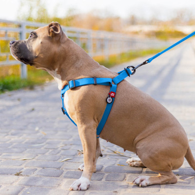 Шлей для собак WAUDOG Waterproof с QR-паспортом S Ш 15 мм Д 40-55 см голубая (27642) Винница - изображение 4