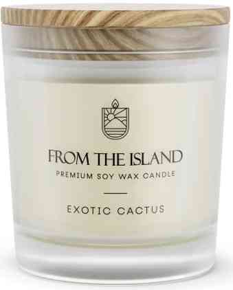 Ароматична свічка From the Island 250 мл Экзотический кактус Екзотичний кактус Київ