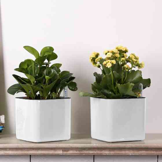 Горщик для квітів з системою автополиву M 14 х 14 х 13 см Київ