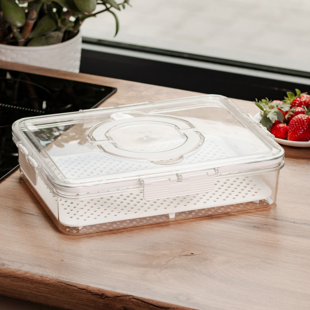 Контейнер для їжі з ручкою 2.5 л 31х24х7 см Київ - фото 1