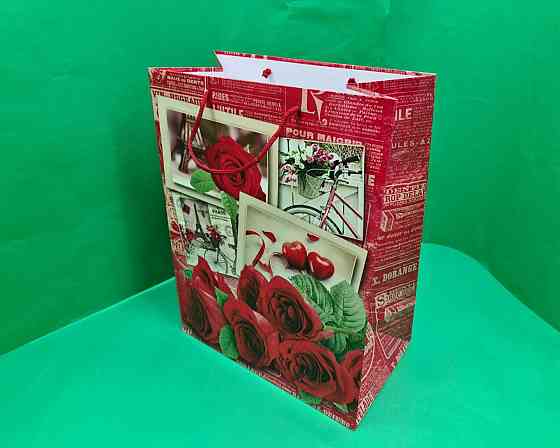 Подарунковий паперовий пакет Гігант (широке дно)о 30/40/17 (артGSD-13) (12 шт) Харків