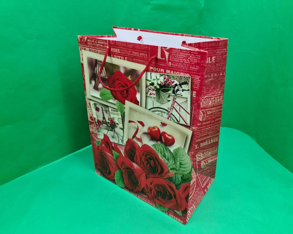 Подарунковий паперовий пакет Гігант (широке дно)о 30/40/17 (артGSD-13) (12 шт) Харків - фото 1