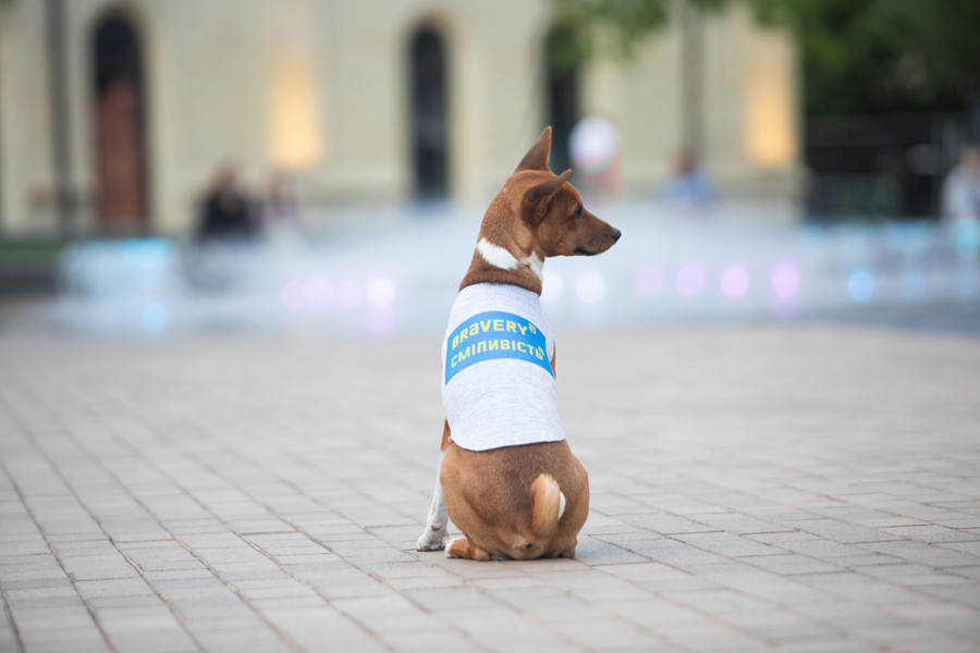 Майка для собак WAUDOG Clothes малюнок "Сміливість", S40, B 50-56 см, С 29-34 см Коломия - фото 3