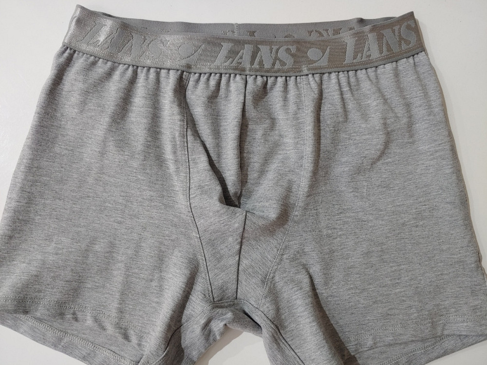 Трусы мужские шорты Lans 06/037 L, Серный Киев - изображение 2