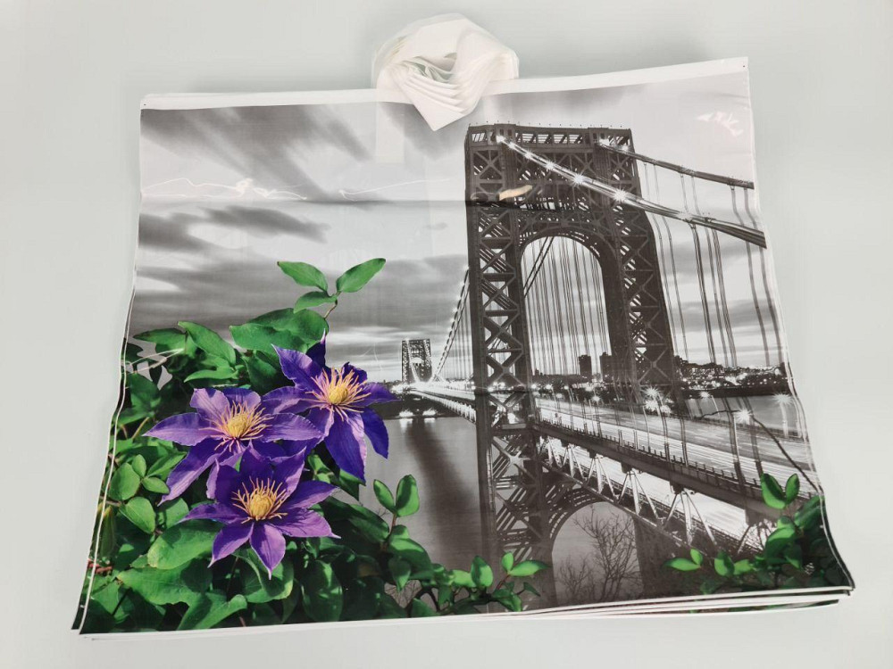 Пакет 60*50 петлевая ручка Мост Комсерв (25 шт) Харьков - изображение 2