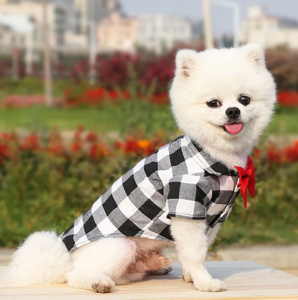 Сорочка для собак з метеликом клітина XS Київ - фото 2