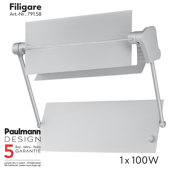 Настенный светильник Paulmann 100W, E27 230V дизайнерский бра регулируемый для зонального акцентного освещения Киев