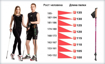 Трекінгові ціпки для скандинавської ходьби 2 шт. Feel Fit MS 2019-1-RD Червоний Бровари - фото 3