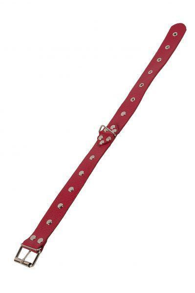 Нашийник Leather Restraints Collar Red Sex Aura Київ - фото 4