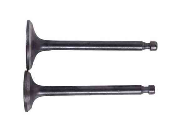 Клапаны, к-т: 2 шт. ( 2)мотоблок 178F Мукачево