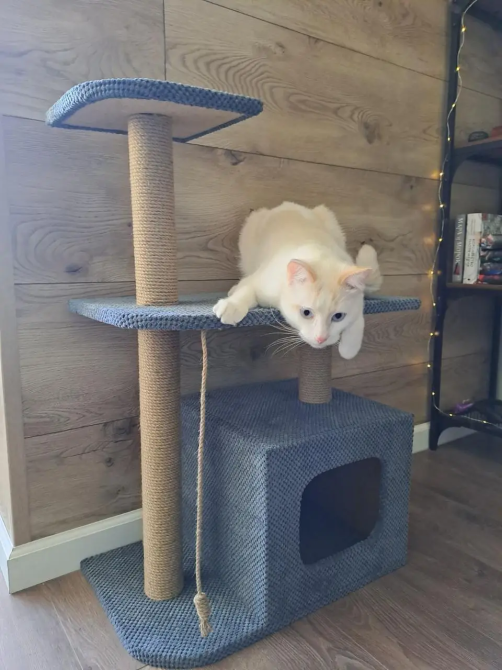 Когтеточка домик с лежанкой 88х55х35 см джутовая дряпка комплекс для кошек Київ - фото 1