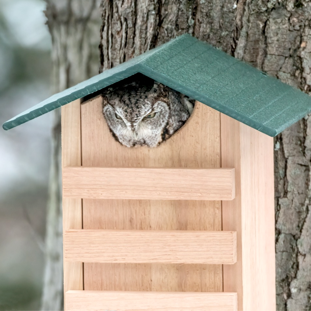 Домик для совы 