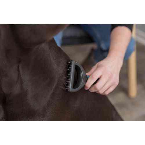 Ковтуноріз Trixie універсальний, з широкими зубцями, з пластиковою ручкою, 7х18 см Київ