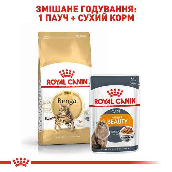 Корм для взрослых кошек породы Бенгальский ROYAL CANIN BENGAL ADULT 2.0 кг Киев