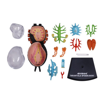 Пазл 4D Master Паук Тарантул (FM-622032) Винница - изображение 5