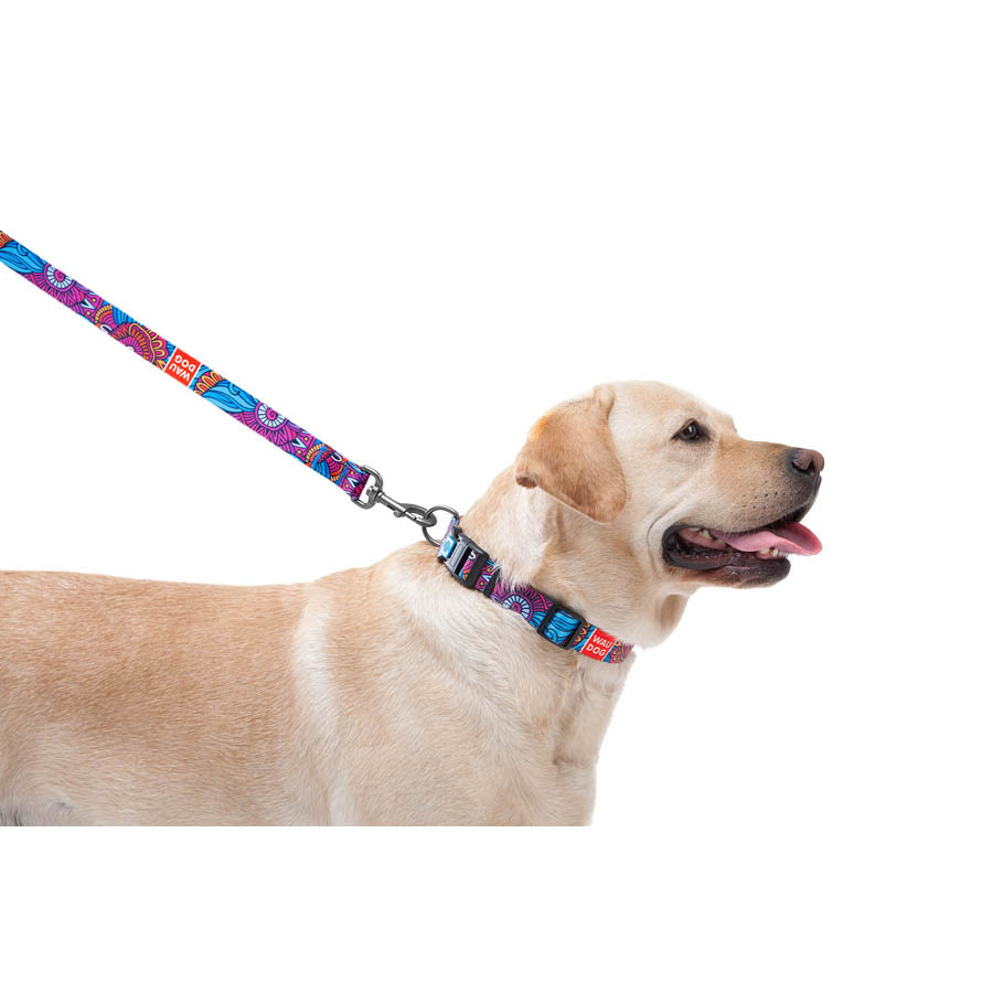 Повідець для собак нейлоновий WAUDOG Nylon, малюнок "Літо" , Ш 20 мм, Дов 122 см Коломия - фото 2