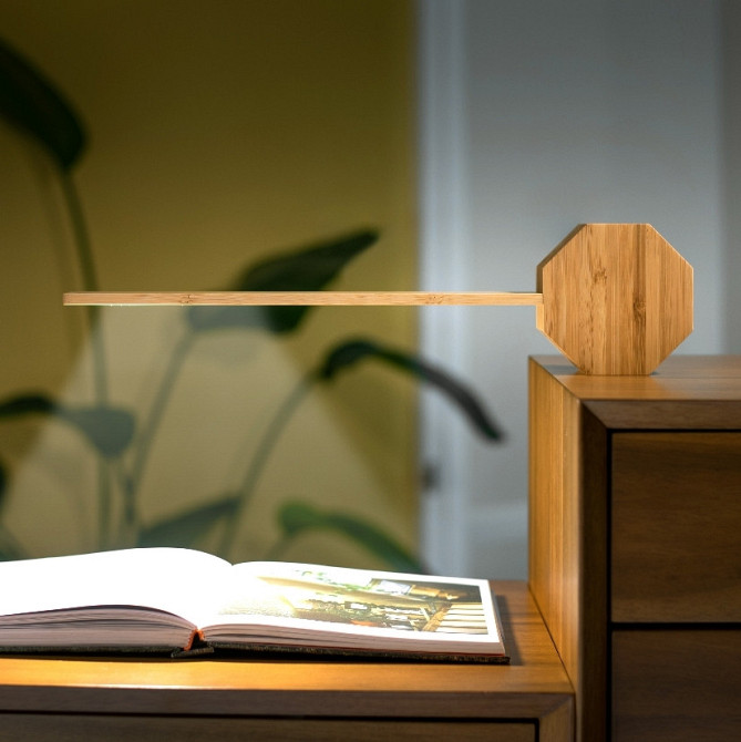 Gingko G012BO Винница - изображение 9