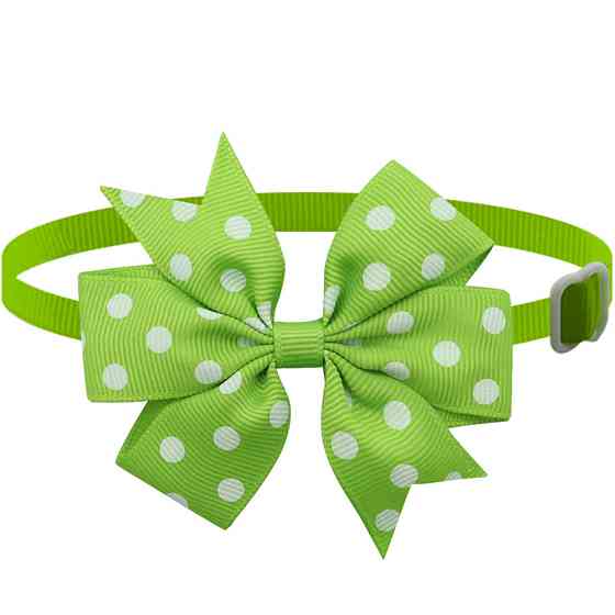 Бантик на шею для собак и котов one size салатово-белый Киев