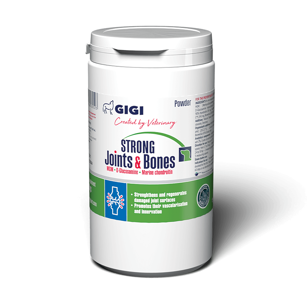 Витамины GiGi Strong Joints&Bones powder для профилактики и лечения суставов у собак порошок 1040 г Винница - изображение 1