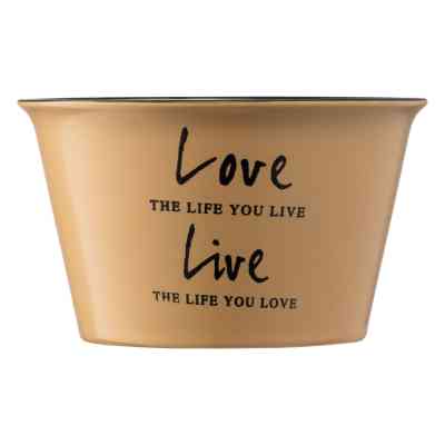 Бульйонниця Ardesto Way of Life 550 мл Beige (AR3479OL) Вінниця