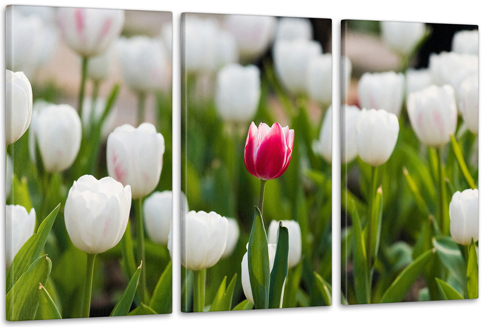 Модульная картина Цветы Тюльпаны Аrt-134_3А 100x150 см Киев - изображение 1