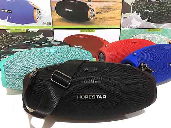 Портативна колонка Hopestar H-25 (12) Київ