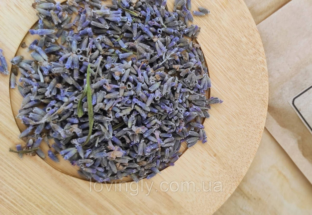Кулінарна лаванда у скляній колбі 100 мл Ірпінь - фото 2
